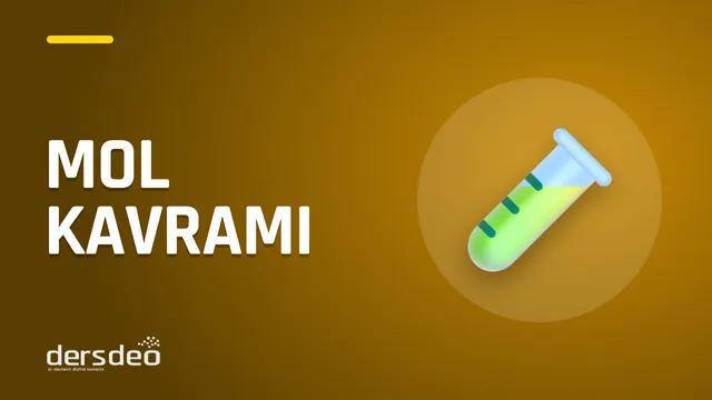 Mol Kavramı